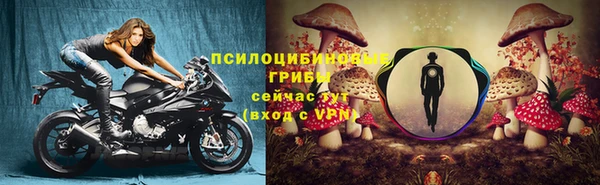 стаф Пестово