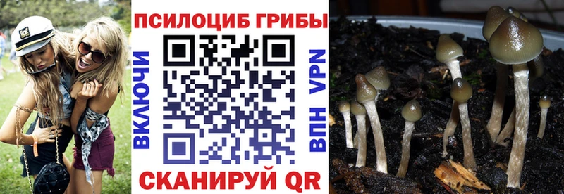 где найти наркотики  Лабинск  Псилоцибиновые грибы Magic Shrooms 